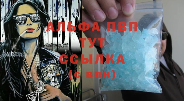 прущие крисы Бородино