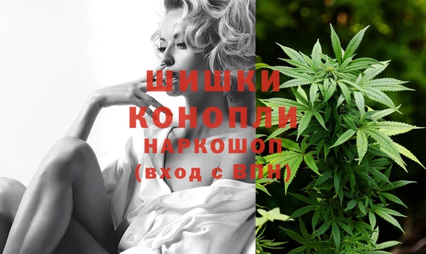 прущие крисы Бородино