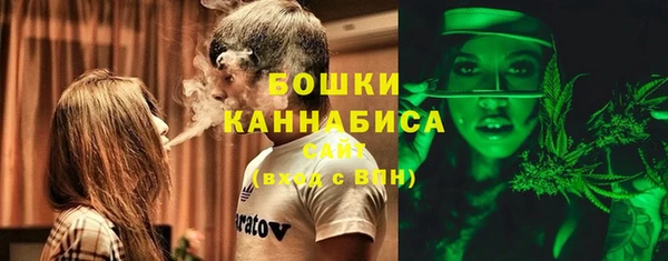 ПСИЛОЦИБИНОВЫЕ ГРИБЫ Верхнеуральск