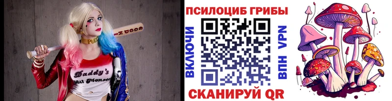 купить наркотик  Новосокольники  Галлюциногенные грибы Magic Shrooms 